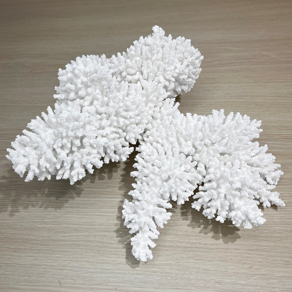 Coral - Signature range (35-40cm)