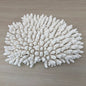 Coral - Signature range (40-45cm)