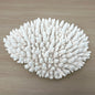 Coral - Signature range (40-45cm)