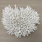 Coral - Signature range (40-45cm)