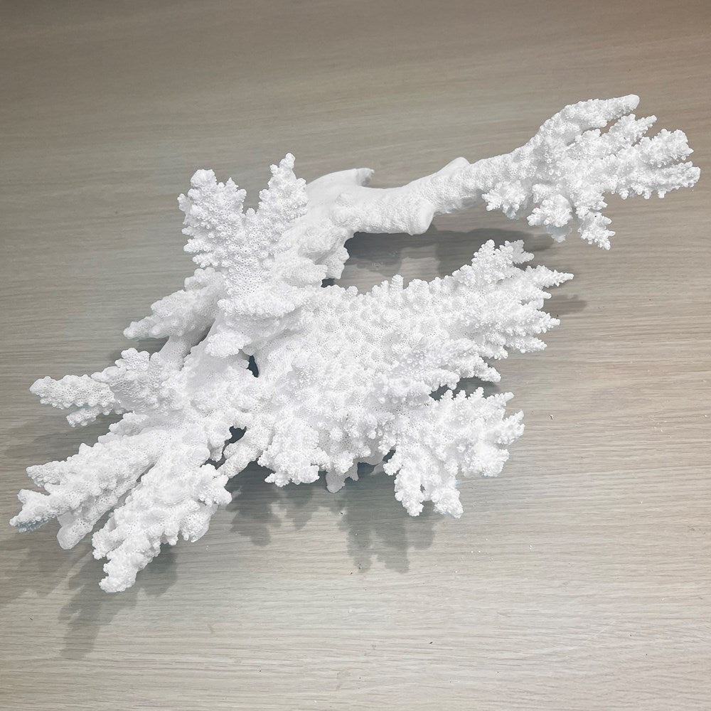 Coral - Signature range (40-45cm)