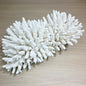 Coral - Signature range (40-45cm)