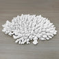 Coral - Signature range (45-50cm)