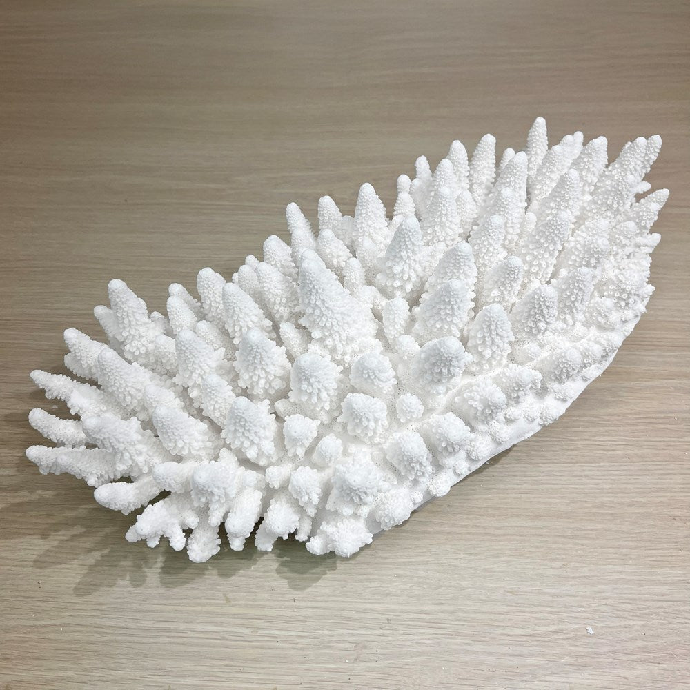 Coral - Signature range (45-50cm)