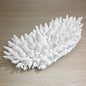 Coral - Signature range (45-50cm)