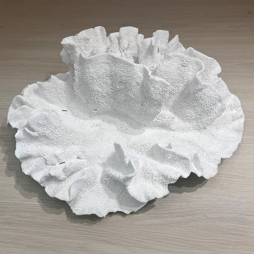Coral - Signature range (45-50cm)