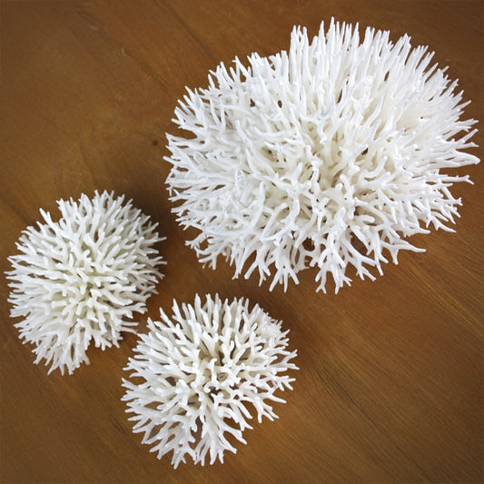Coral - Seriatopora (25-30cm)