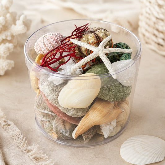 Coral cylinder - Beach Box