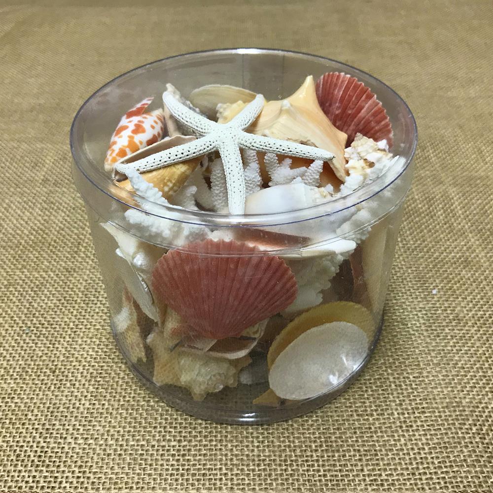 Coral cylinder - Cream, orange, peach and tan