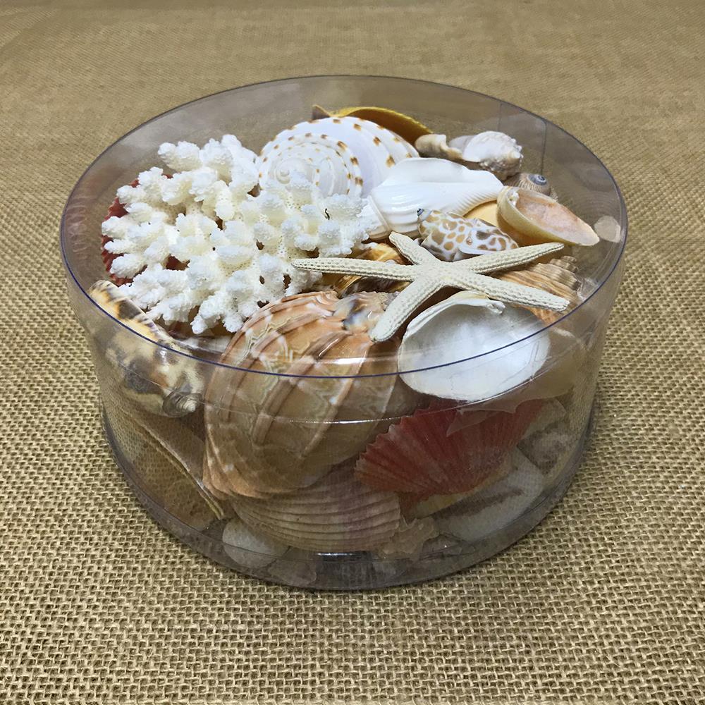Coral cylinder - Cream, orange, peach and tan