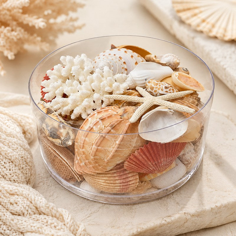 Coral cylinder - Cream, orange, peach and tan