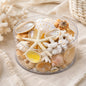 Coral cylinder - Cream and white