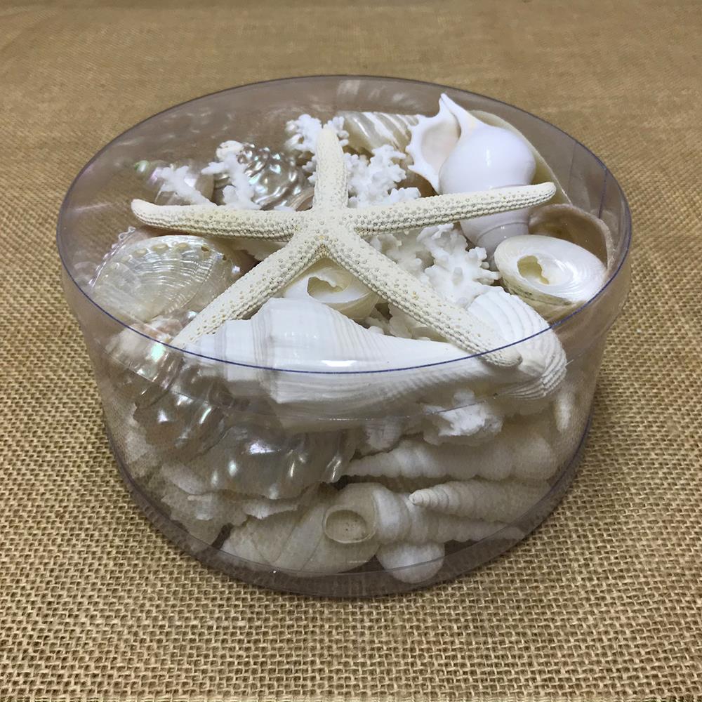 Coral cylinder - White and pearl