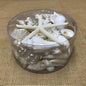 Coral cylinder - White and pearl