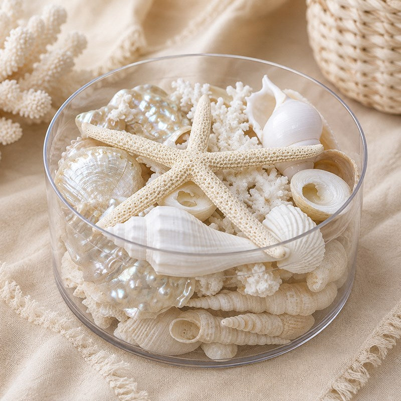 Coral cylinder - White and pearl