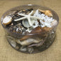 Coral cylinder - Black, tan, cream and white