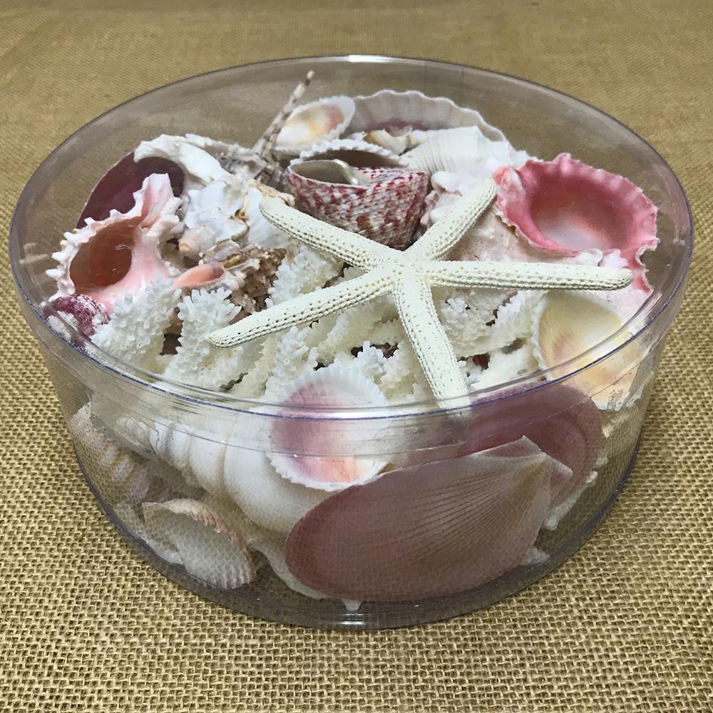 Coral cylinder - Pink and white