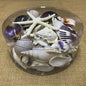 Coral cylinder - Purple and white
