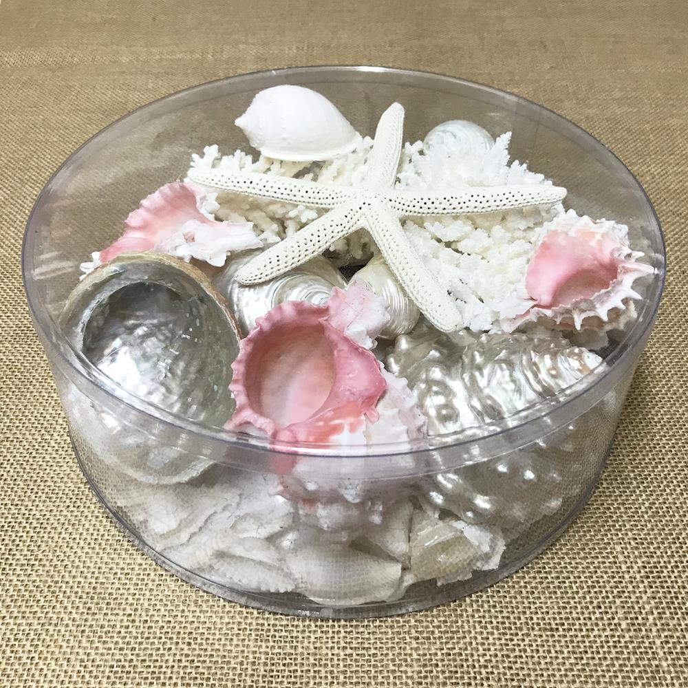Coral cylinder - Pink and white