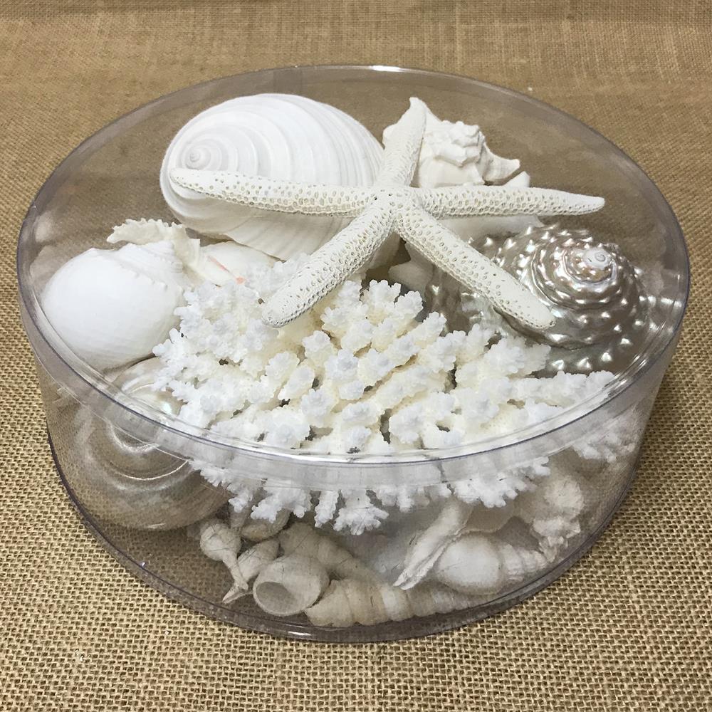 Coral cylinder - White and pearl