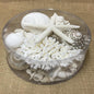 Coral cylinder - White and pearl