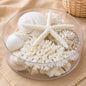 Coral cylinder - White and pearl