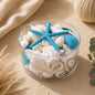 Shell cylinder - Aqua and white