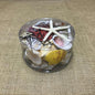 Shell cylinder - Beach Box