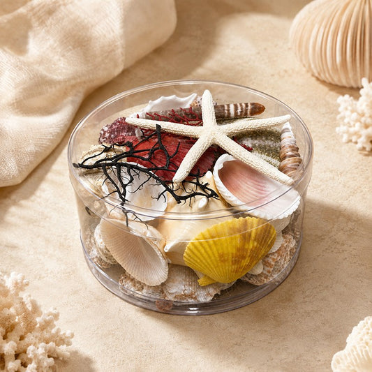Shell cylinder - Beach Box