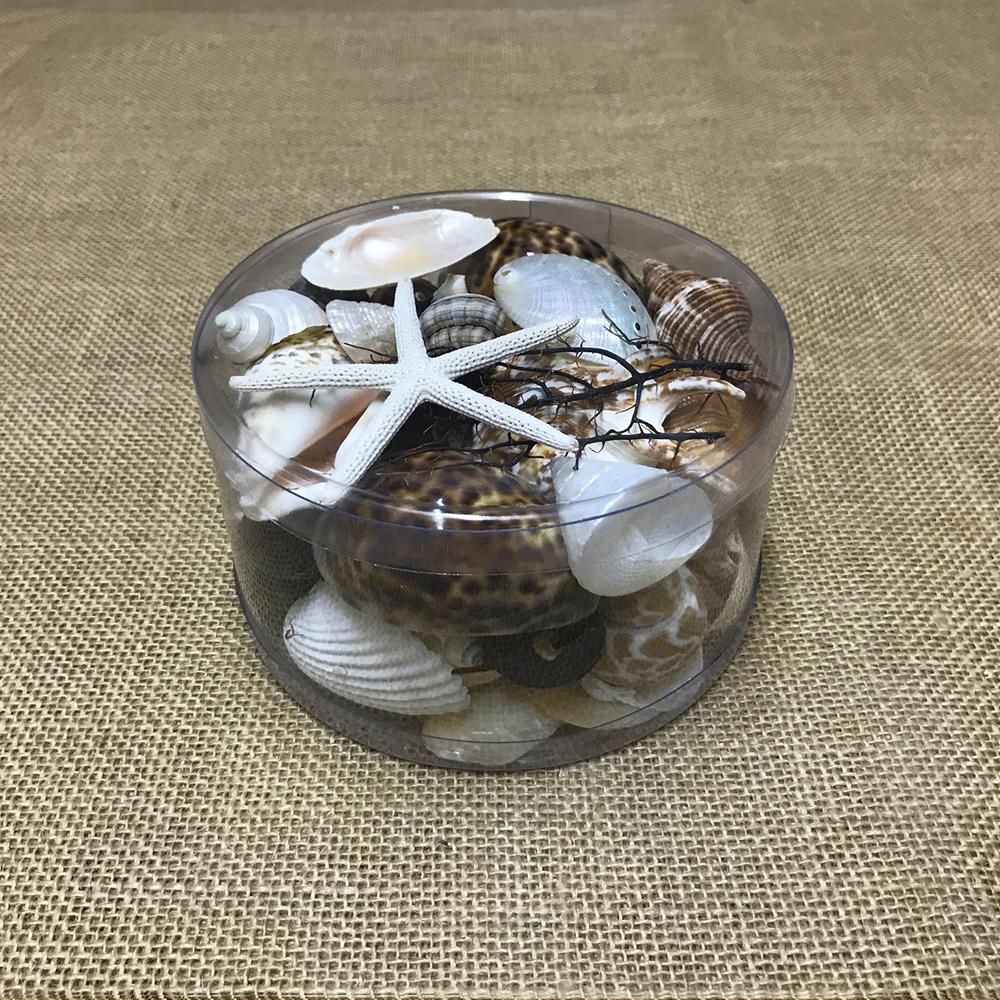 Shell cylinder - Black, tan, cream and white