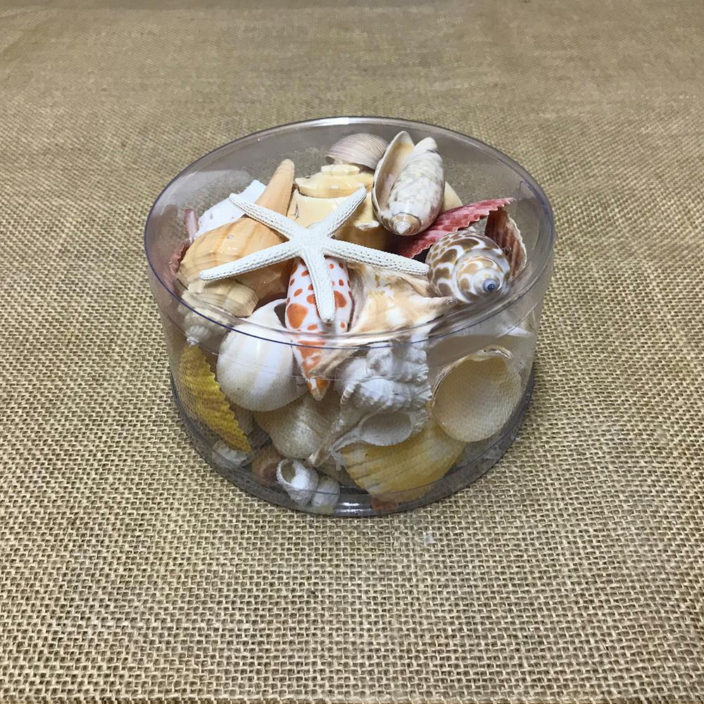 Shell cylinder - Cream, orange, peach and tan