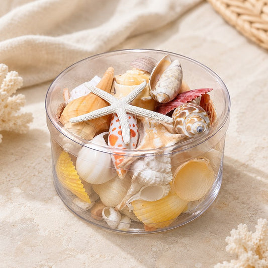 Shell cylinder - Cream, orange, peach and tan