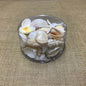 Shell cylinder - Cream and white