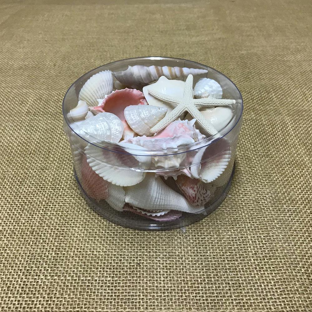 Shell cylinder - Pink and white
