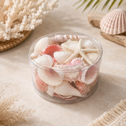 Shell cylinder - Pink and white