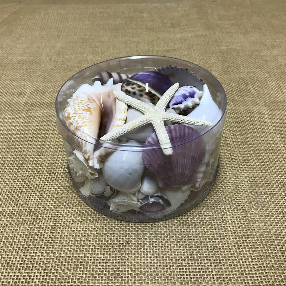Shell cylinder - Purple and white