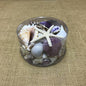 Shell cylinder - Purple and white