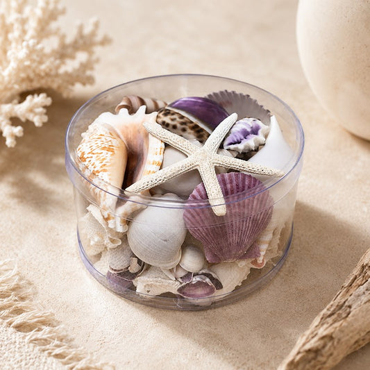 Shell cylinder - Purple and white