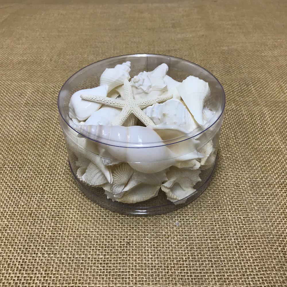 Shell cylinder - White