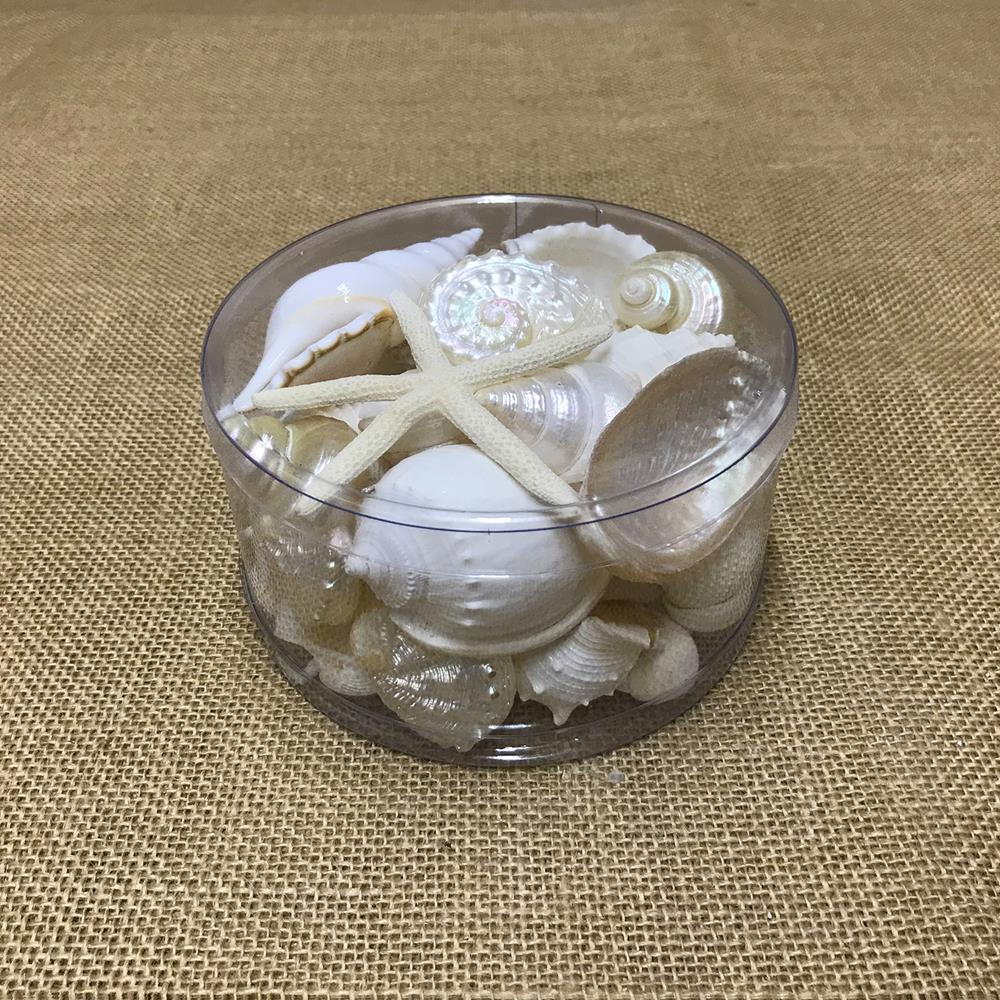 Shell cylinder - White and pearl