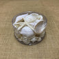 Shell cylinder - White and pearl