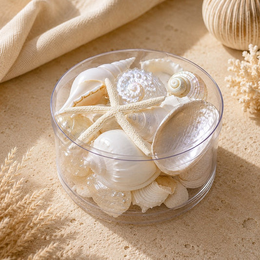 Shell cylinder - White and pearl