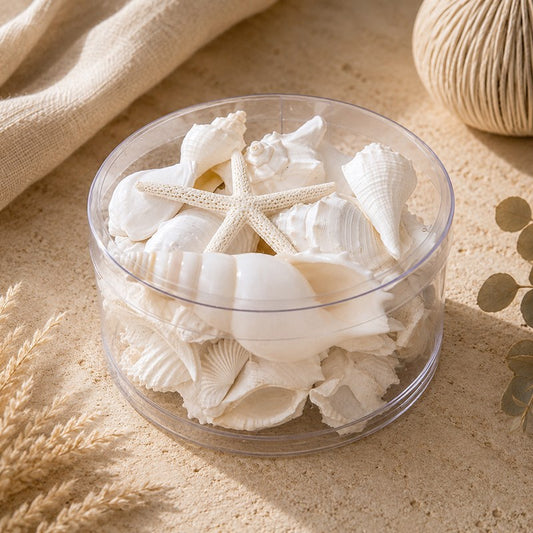 Shell cylinder - White