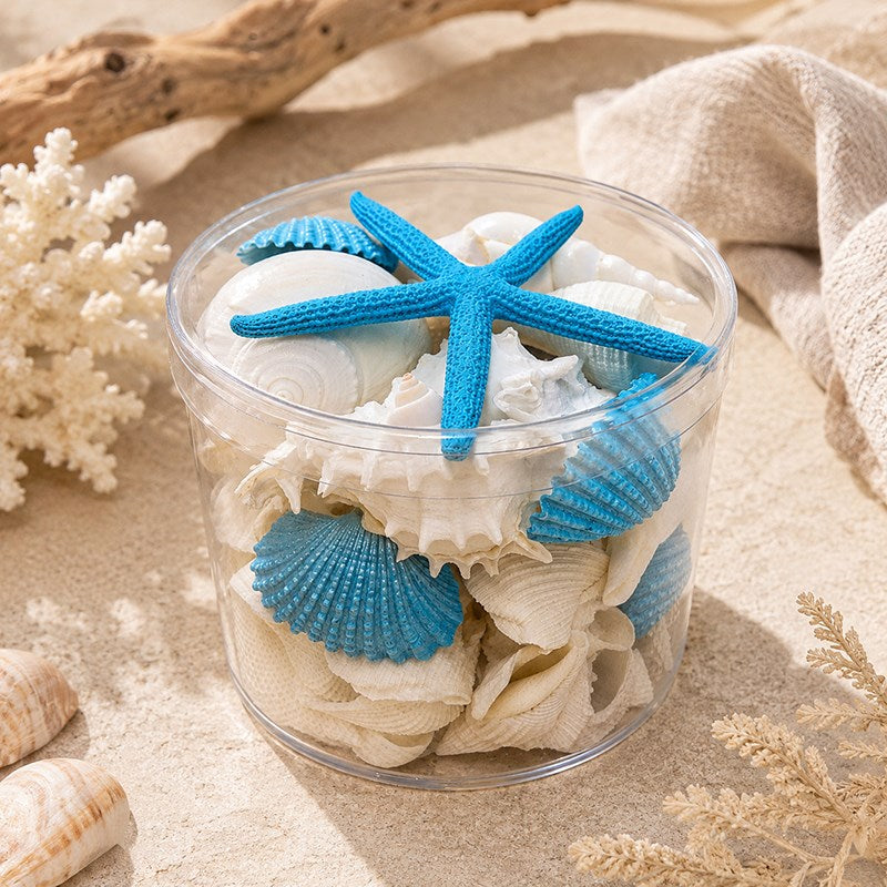 Shell cylinder - Aqua and white