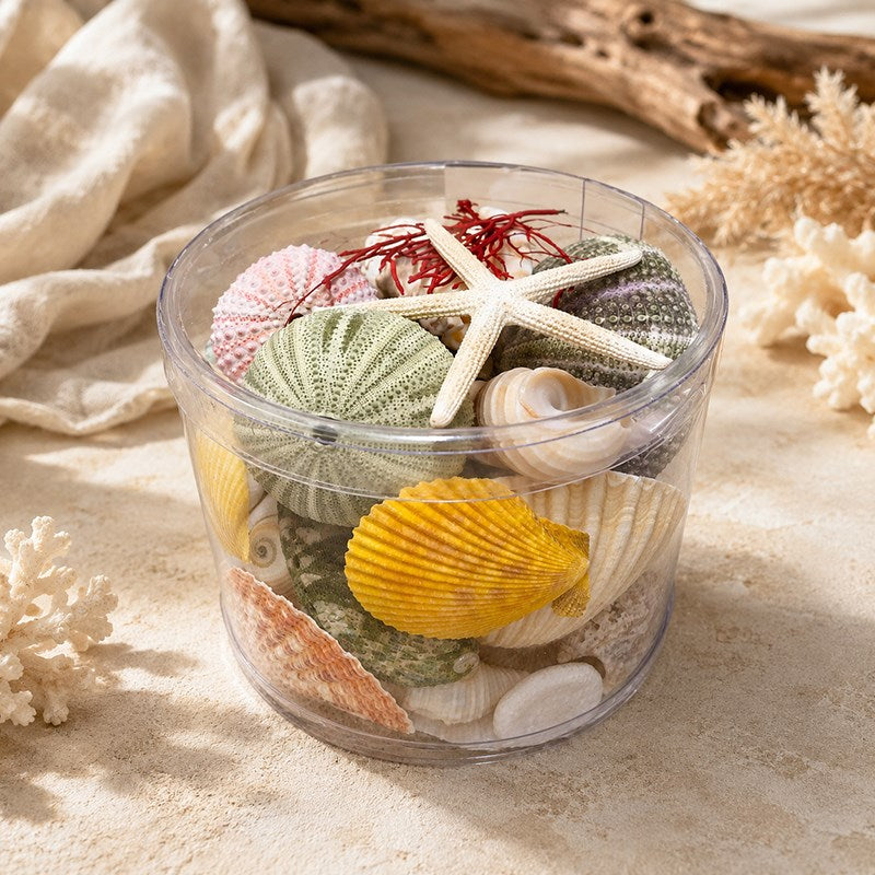 Shell cylinder - Beach Box