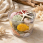 Shell cylinder - Beach Box