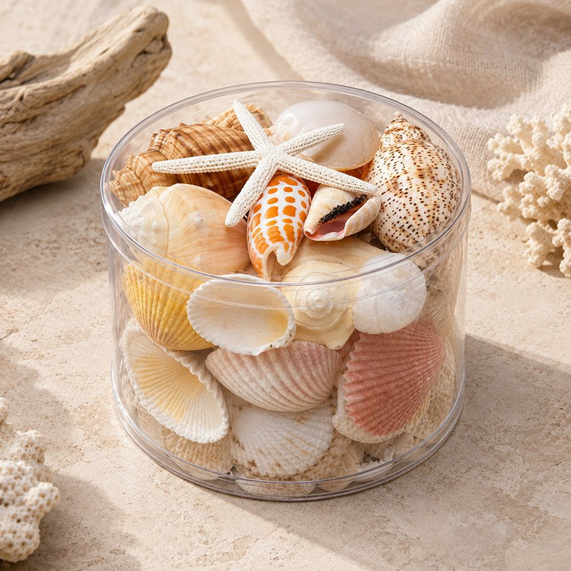 Shell cylinder - Cream, orange, peach and tan