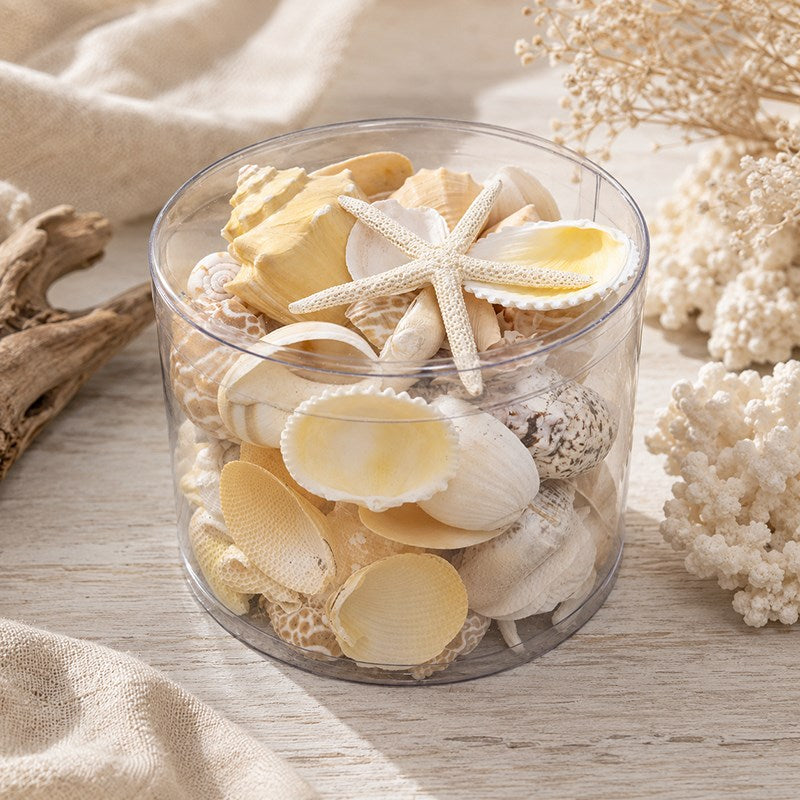 Shell cylinder - Cream and white