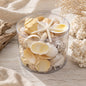 Shell cylinder - Cream and white