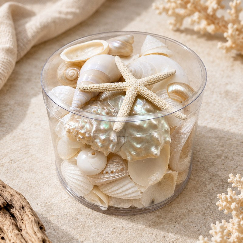 Shell cylinder - White and pearl